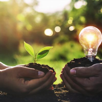 MBA in Corporate Social Responsibility (2)